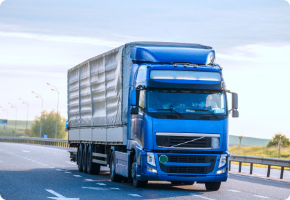 catlight9_1648479782_1648560477