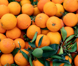 россия обновила рекорд по импорту цитрусовых из Турции - фото - 1