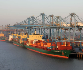 новый морской торговый маршрут заработал между Владивостоком и Индией - фото - 1