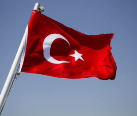 почти половина поставок плодоовощной продукции из Турции импортируется в Россию по «упрощенному таможенному коридору» - фото - 1